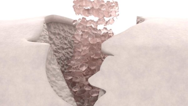Singlass biovidro - Image 2